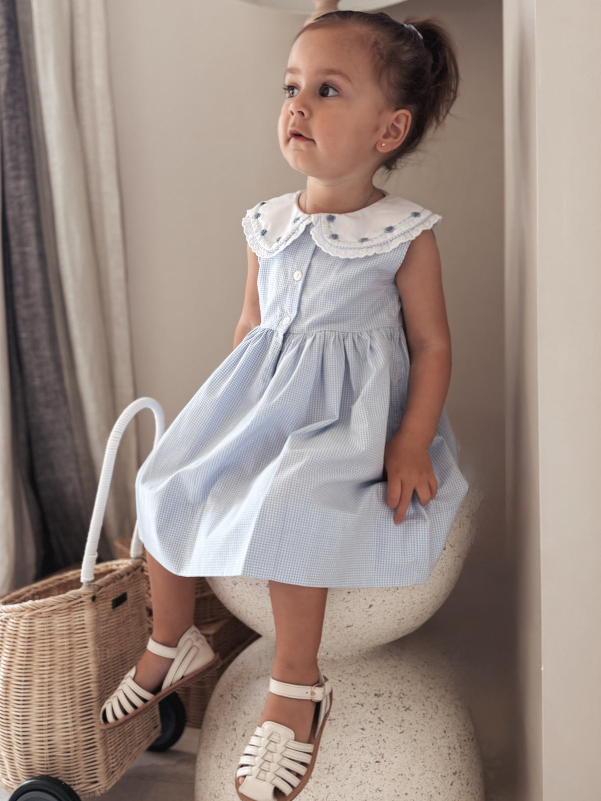 Toddler girl wearing sleeveless classic Blue Rosette Gingham Dress with embroidered collar
